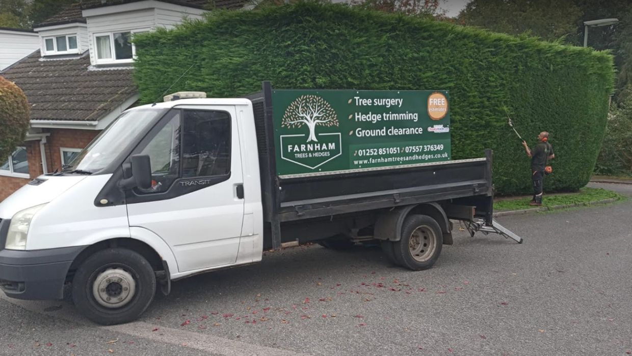 Tree services in Farnham