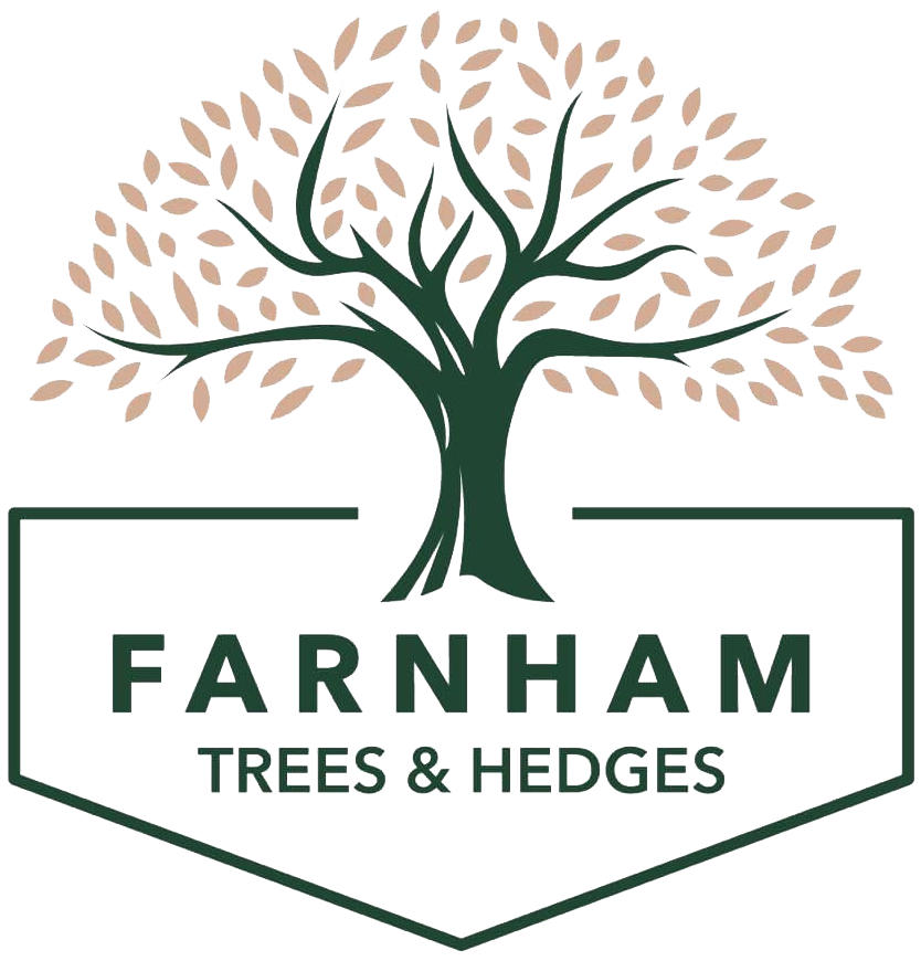 Farnham Trees and Hedges