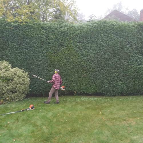Garden maintenance and tidy-up completed by Farnham Trees And Hedges