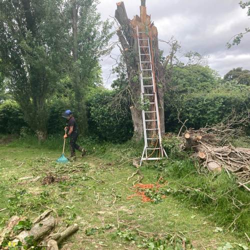 Garden clearance work completed for a Farnham property