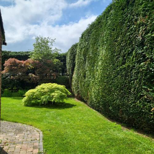 Garden maintenance project completed near Farnham