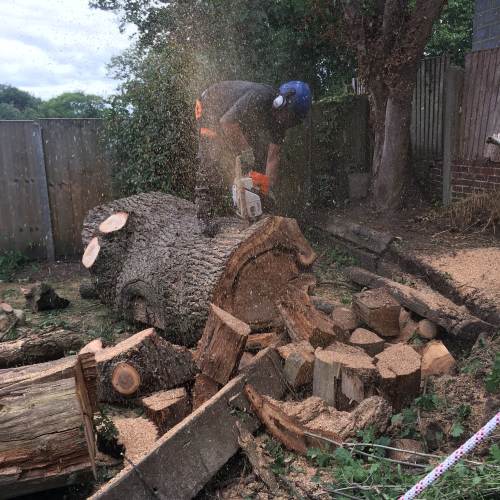 Garden maintenance work completed by Farnham Trees And Hedges